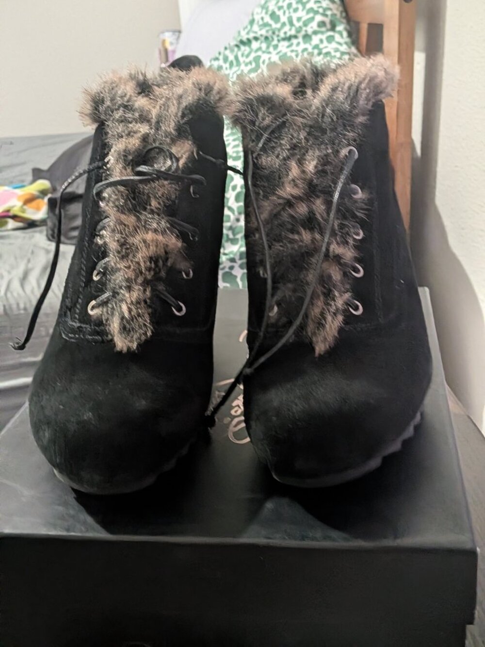 Earthies black Ankle Boots for Women